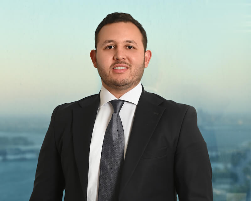 Mohamed ElHossamy